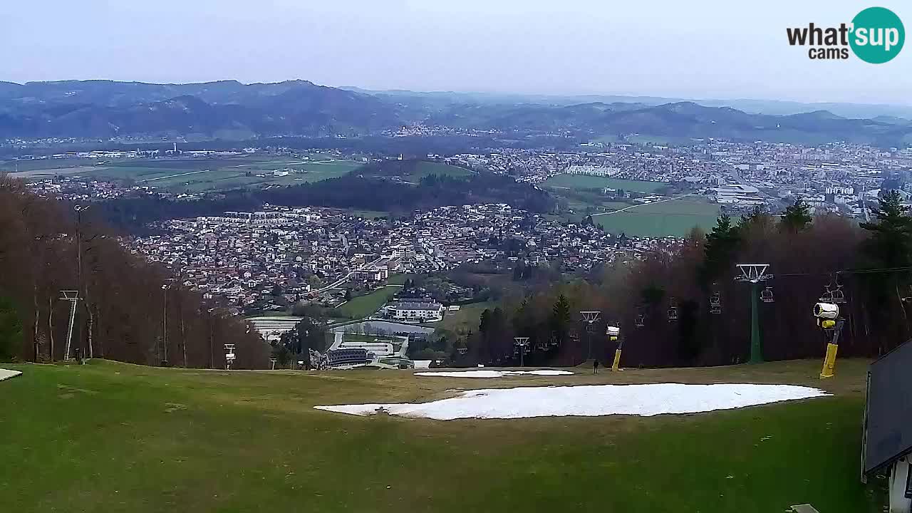 Webcam Pohorje Trikotna Jasa | Poštela