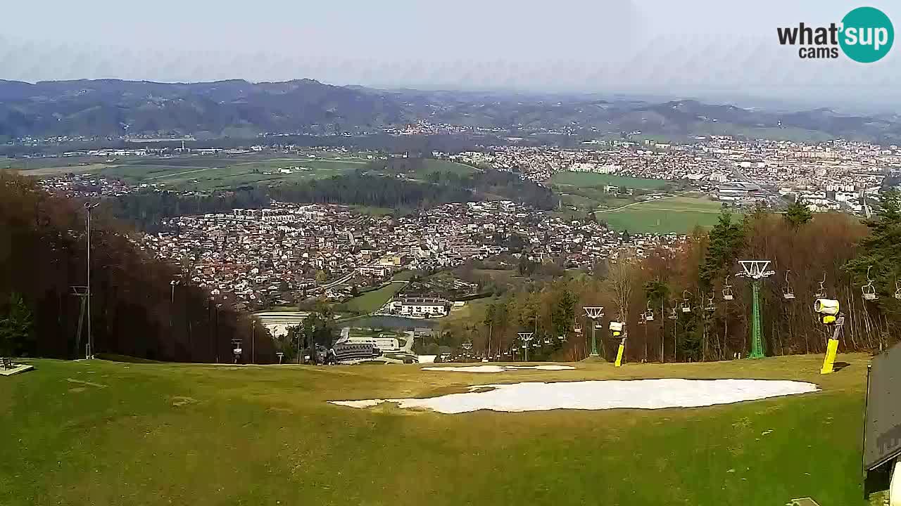 Webcam Pohorje Trikotna Jasa | Poštela