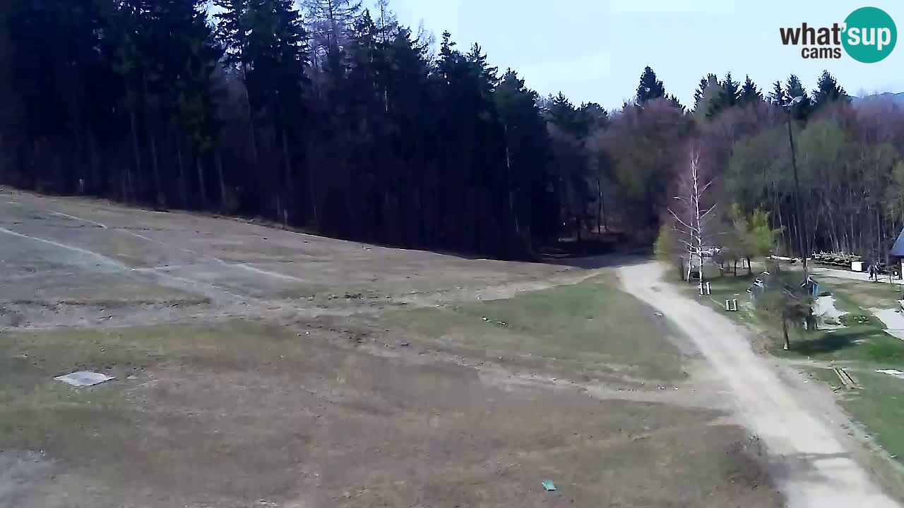 Webcam Pohorje Trikotna Jasa | Poštela