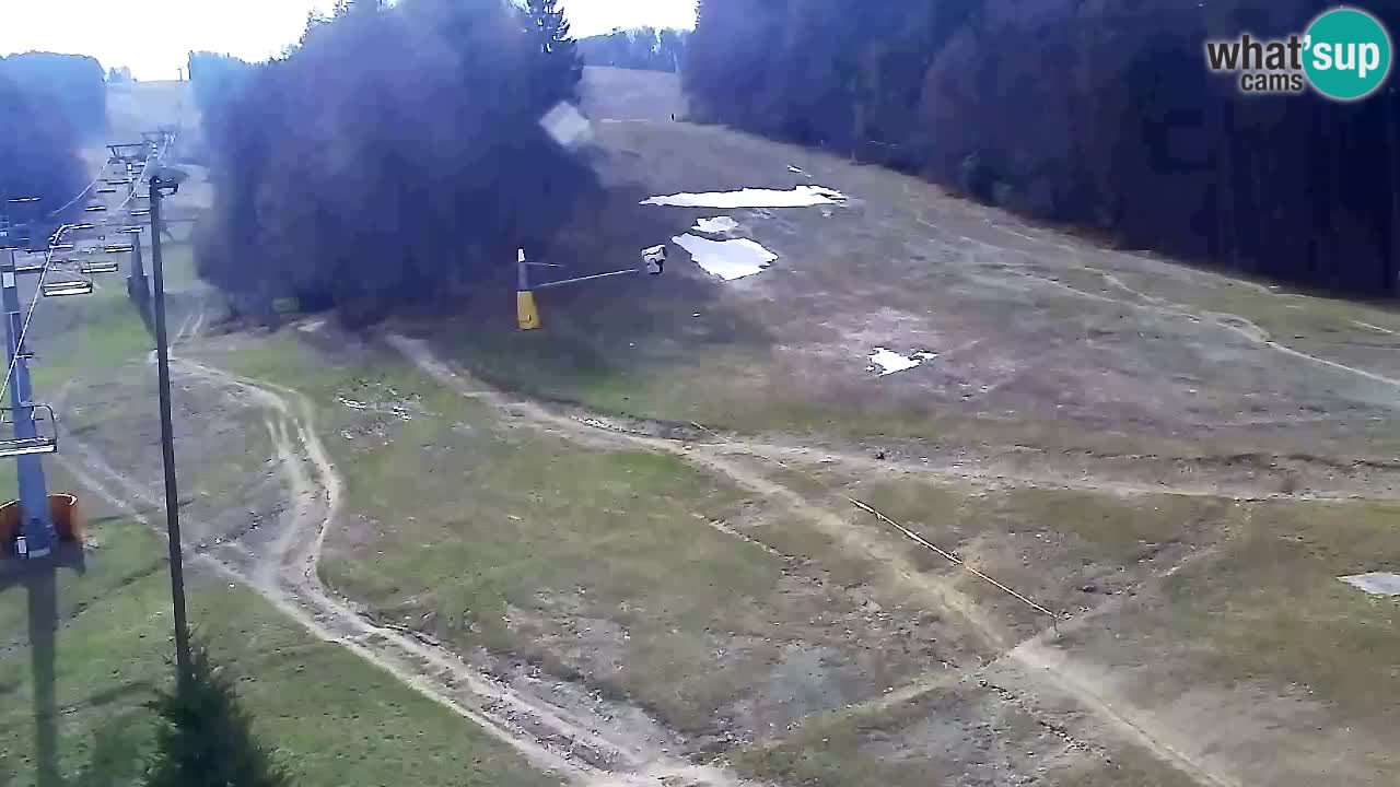 Web kamera Pohorje Trikotna Jasa | Poštela