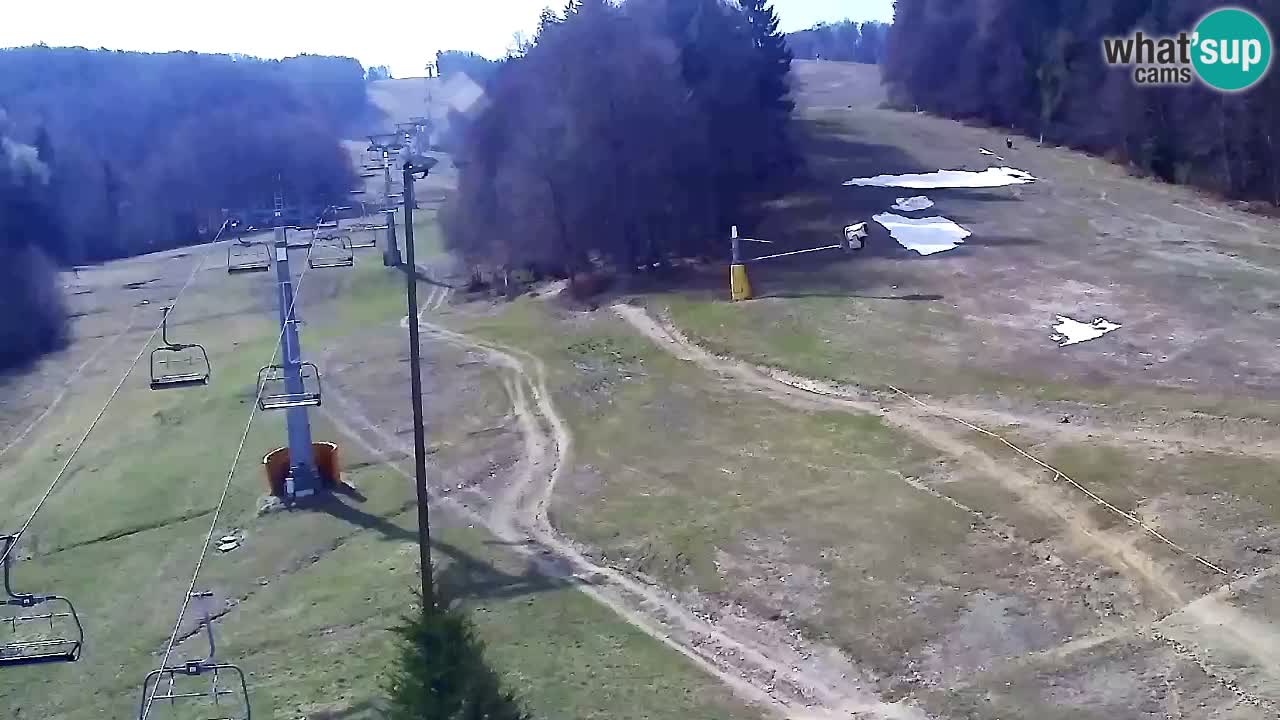 Webcam Pohorje Trikotna Jasa | Poštela