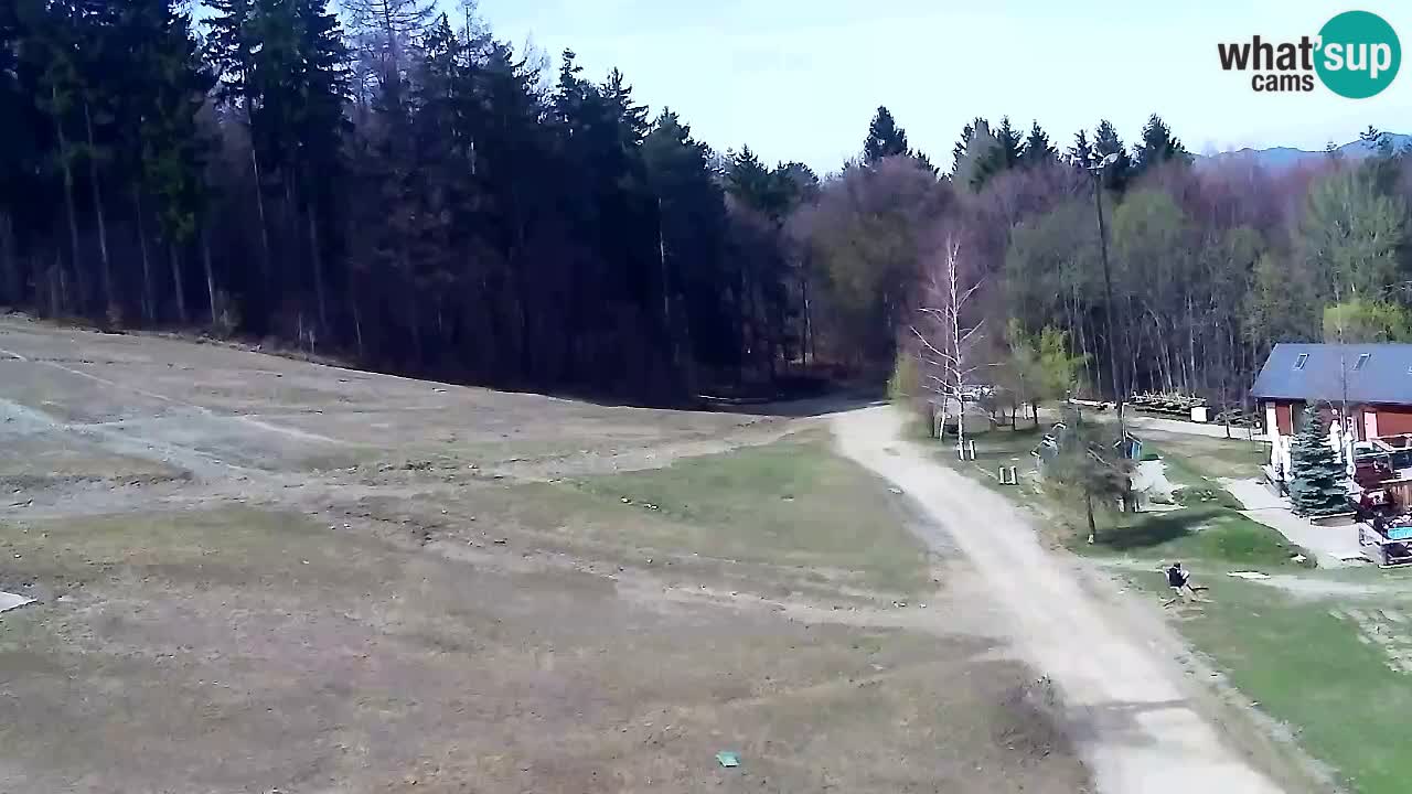 Webcam Pohorje Trikotna Jasa | Poštela
