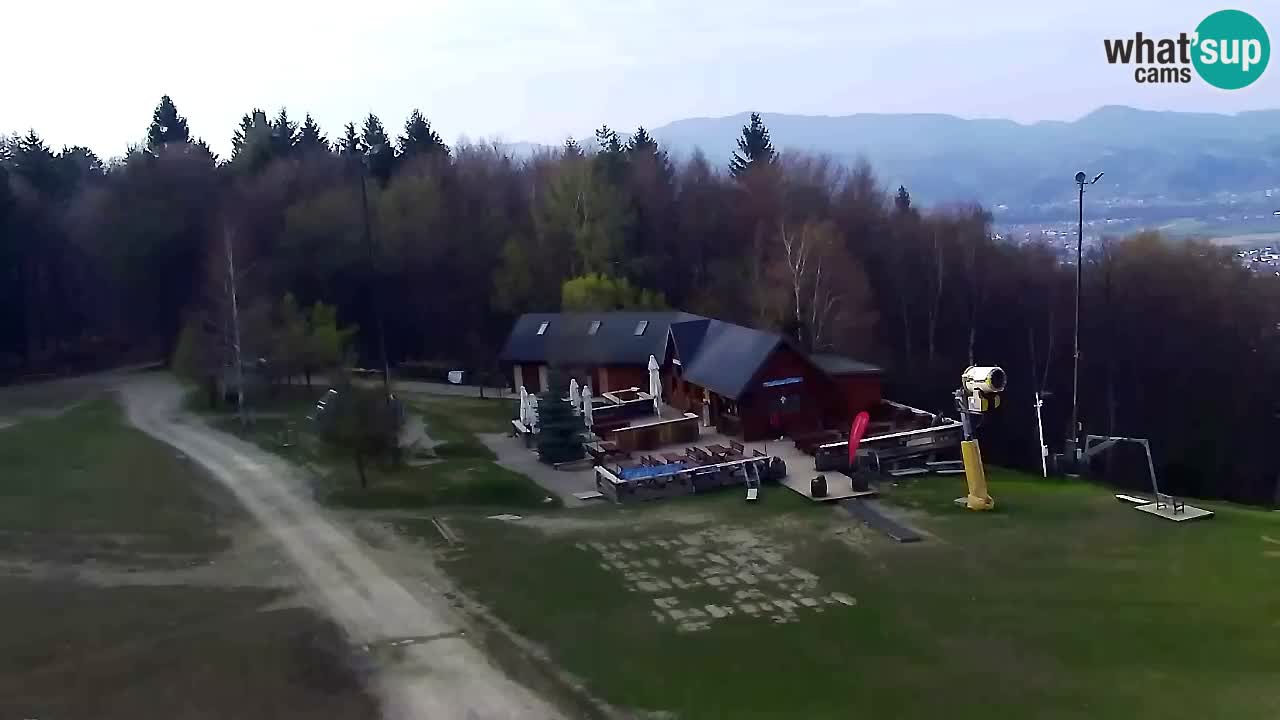 Web kamera Pohorje Trikotna Jasa | Poštela
