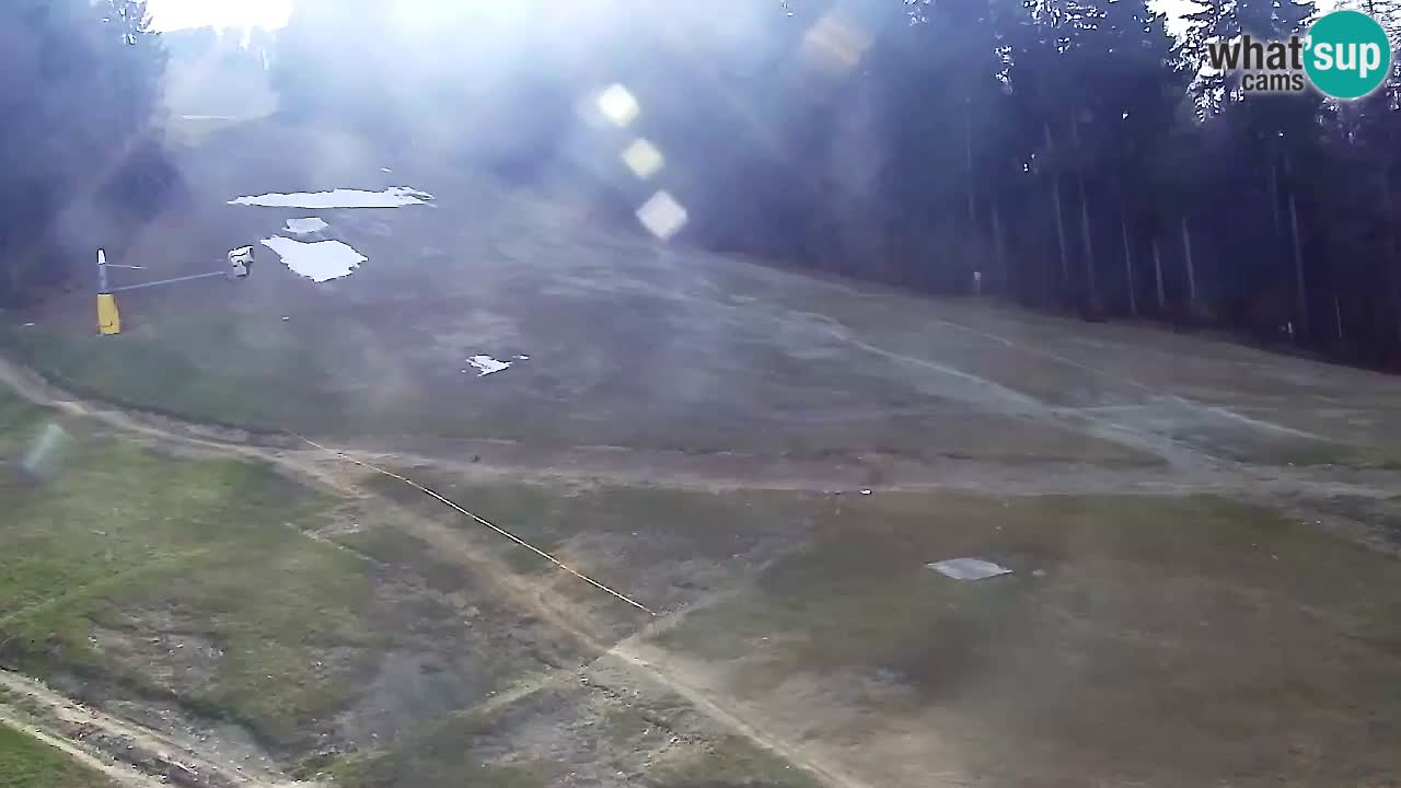 Webcam Pohorje Trikotna Jasa | Poštela