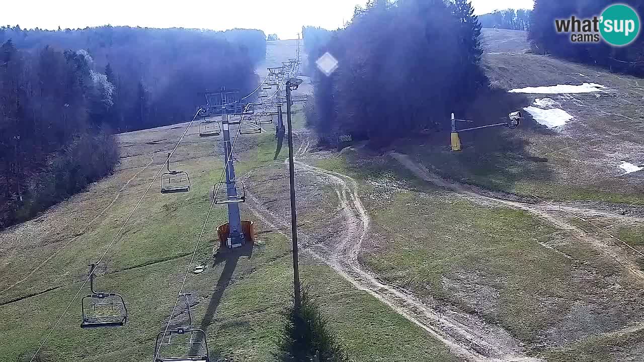 Webcam Pohorje Trikotna Jasa | Poštela