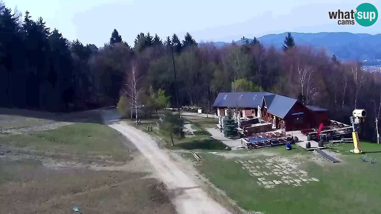 Webcam Pohorje Trikotna Jasa | Poštela