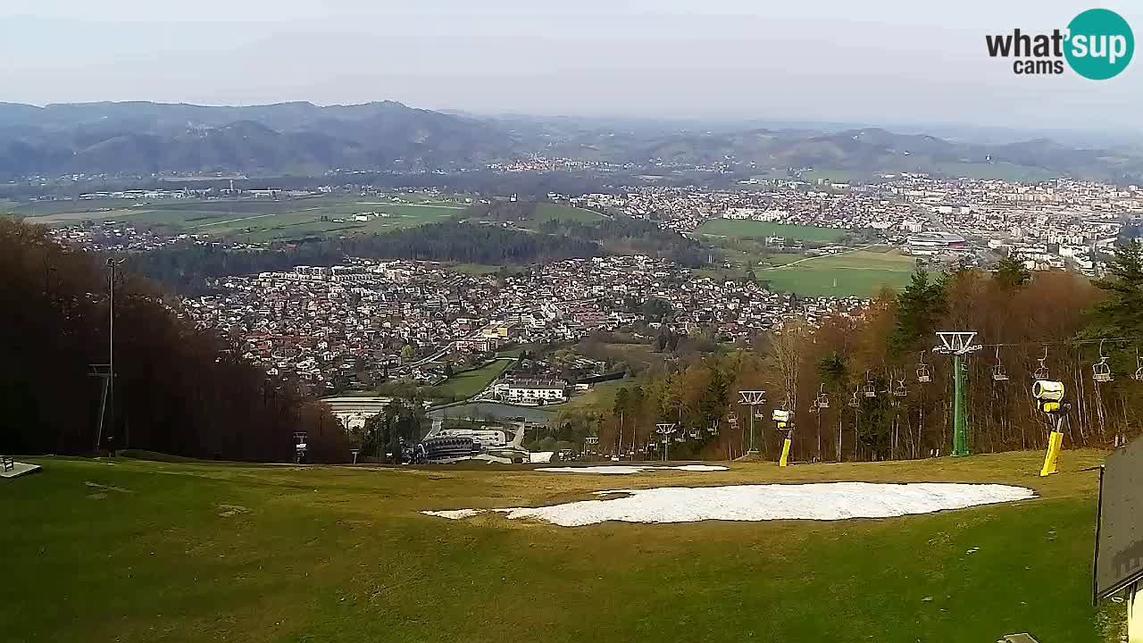 Webcam Pohorje Trikotna Jasa | Poštela