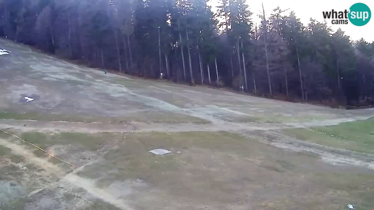 Webcam Pohorje Trikotna Jasa | Poštela