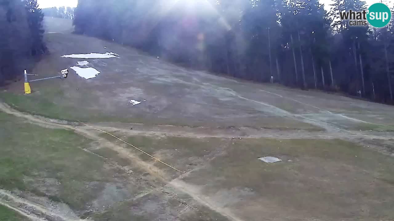 Webcam Pohorje Trikotna Jasa | Poštela