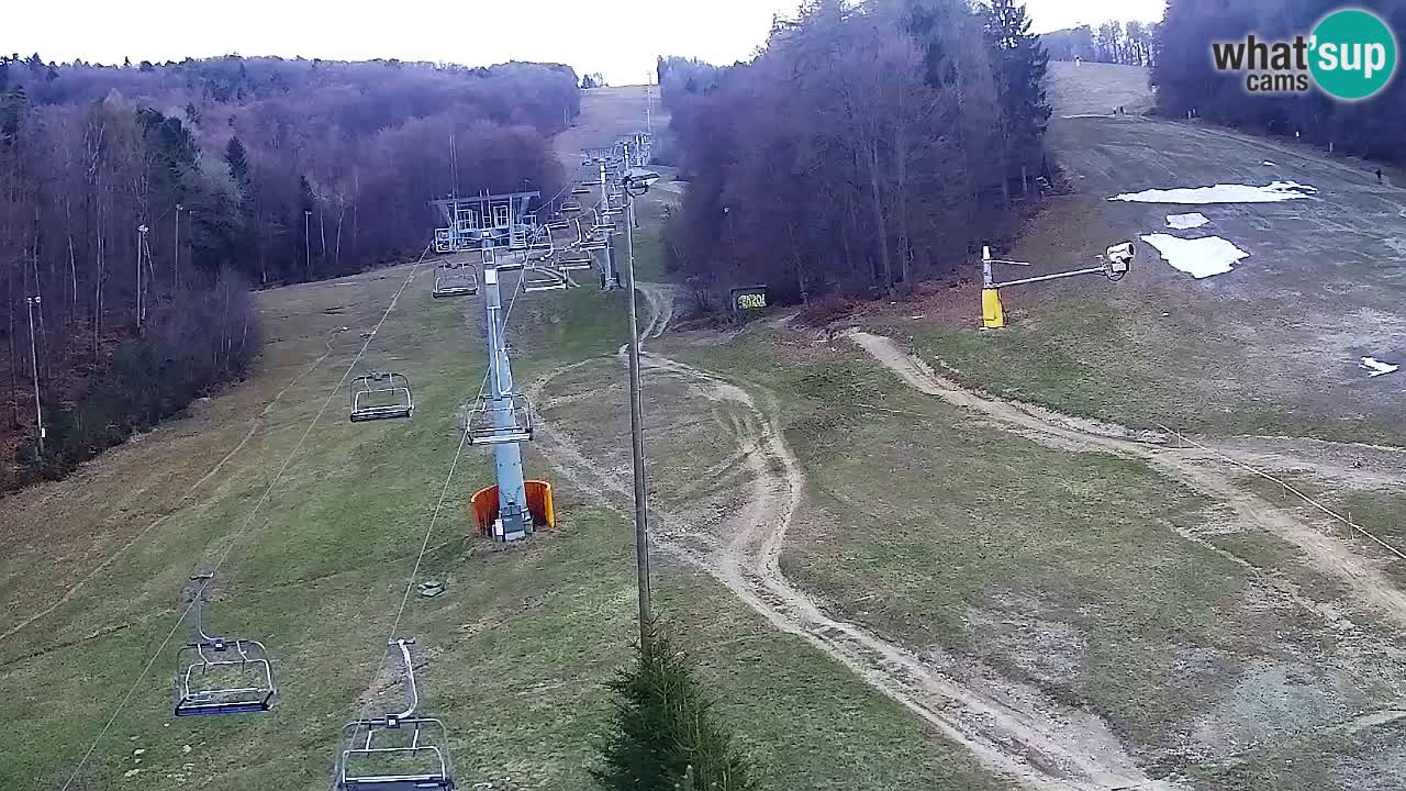 Web Camera Pohorje Trikotna Jasa | Poštela