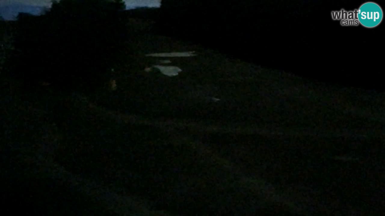 Web kamera Pohorje Trikotna Jasa | Poštela