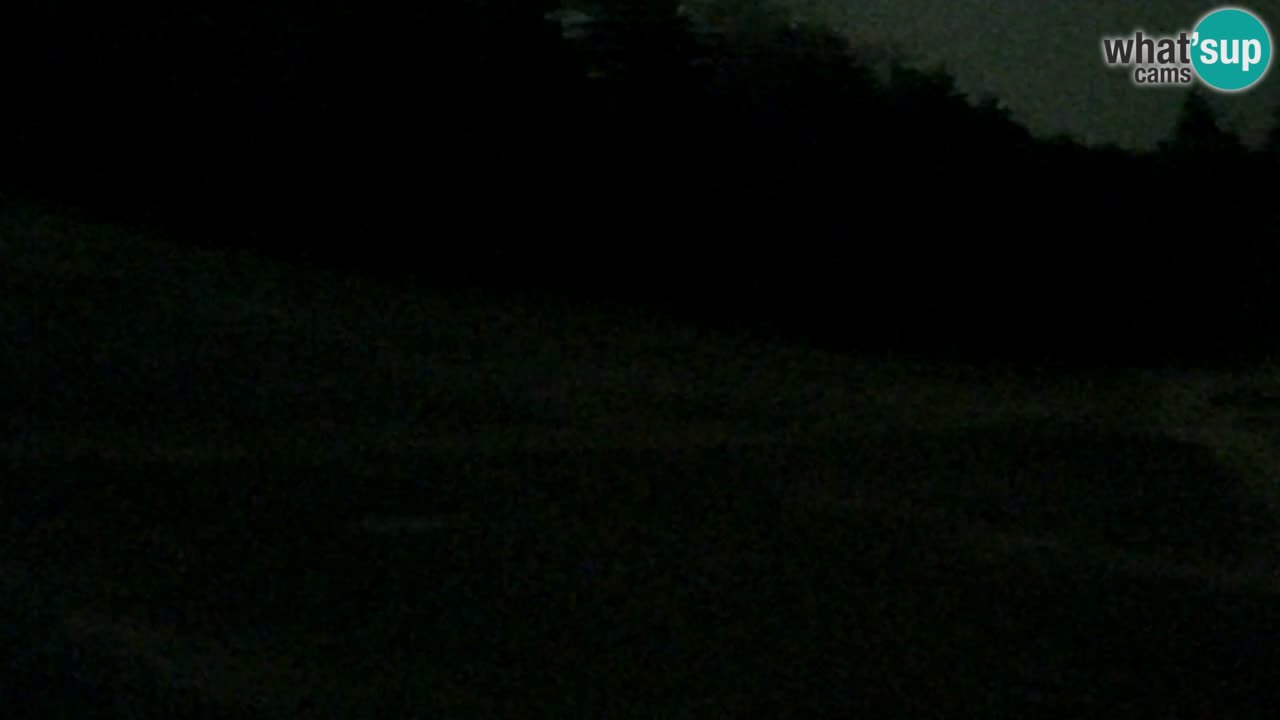 Web Camera Pohorje Trikotna Jasa | Poštela