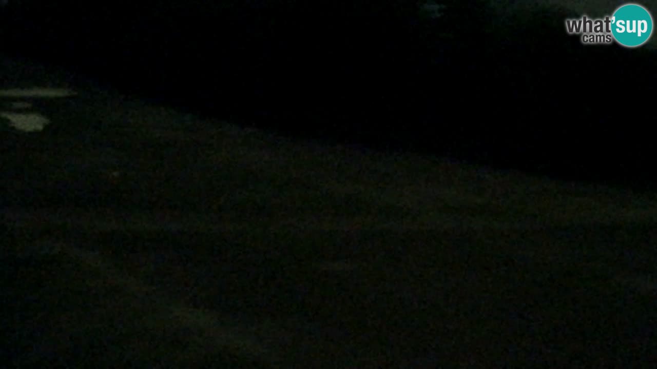 Web Camera Pohorje Trikotna Jasa | Poštela