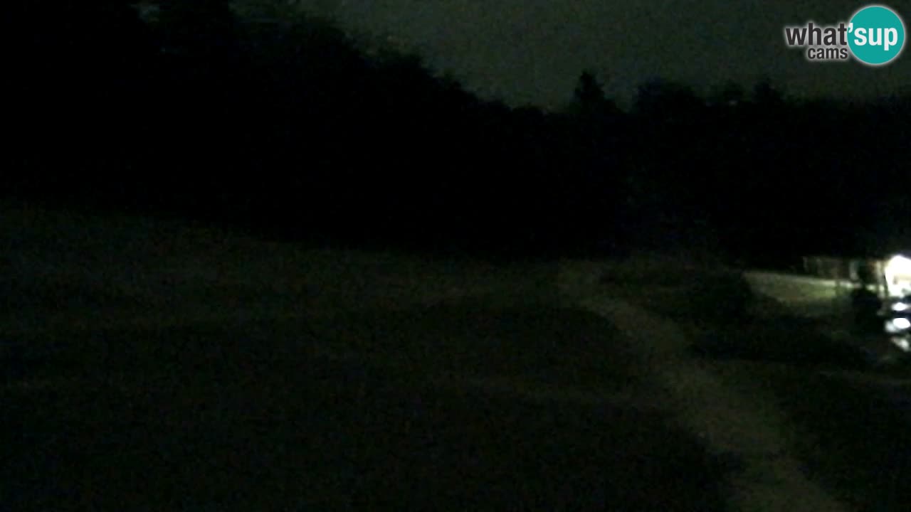 Web Camera Pohorje Trikotna Jasa | Poštela