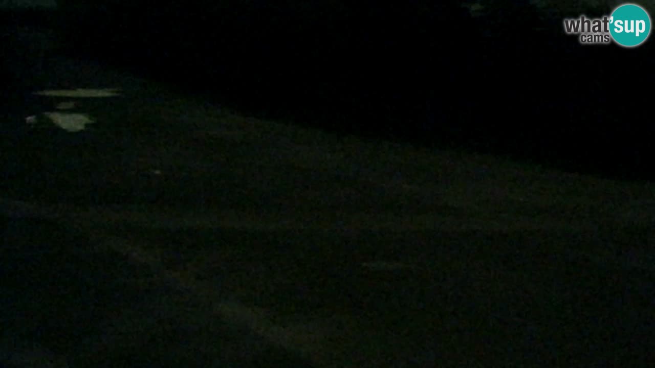 Webcam Pohorje Trikotna Jasa | Poštela