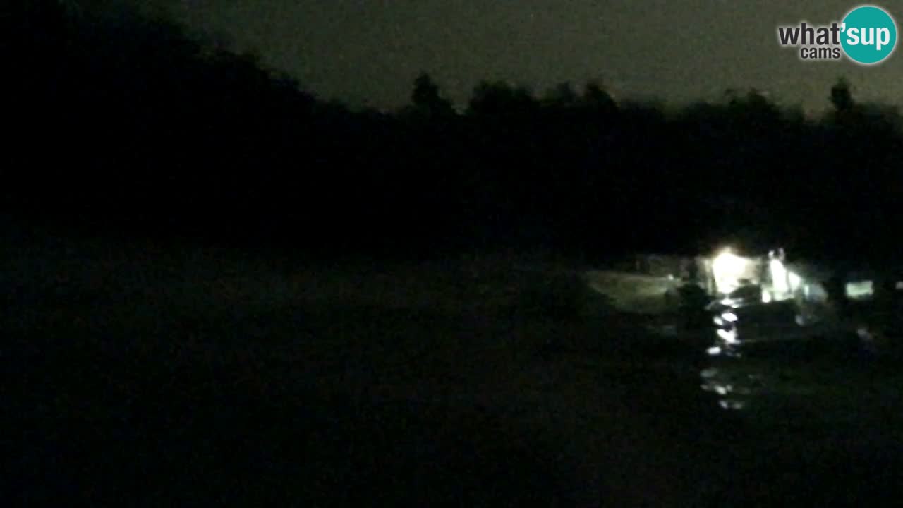 Webcam Pohorje Trikotna Jasa | Poštela