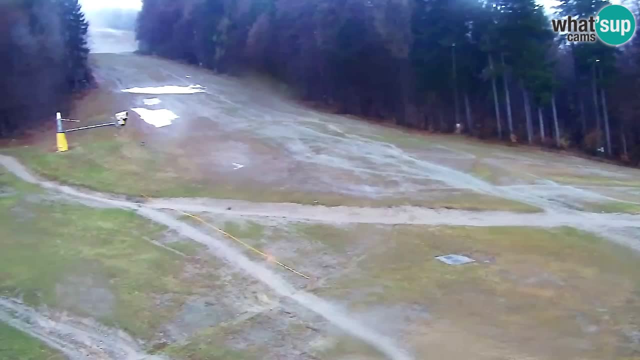 Webcam Pohorje Trikotna Jasa | Poštela