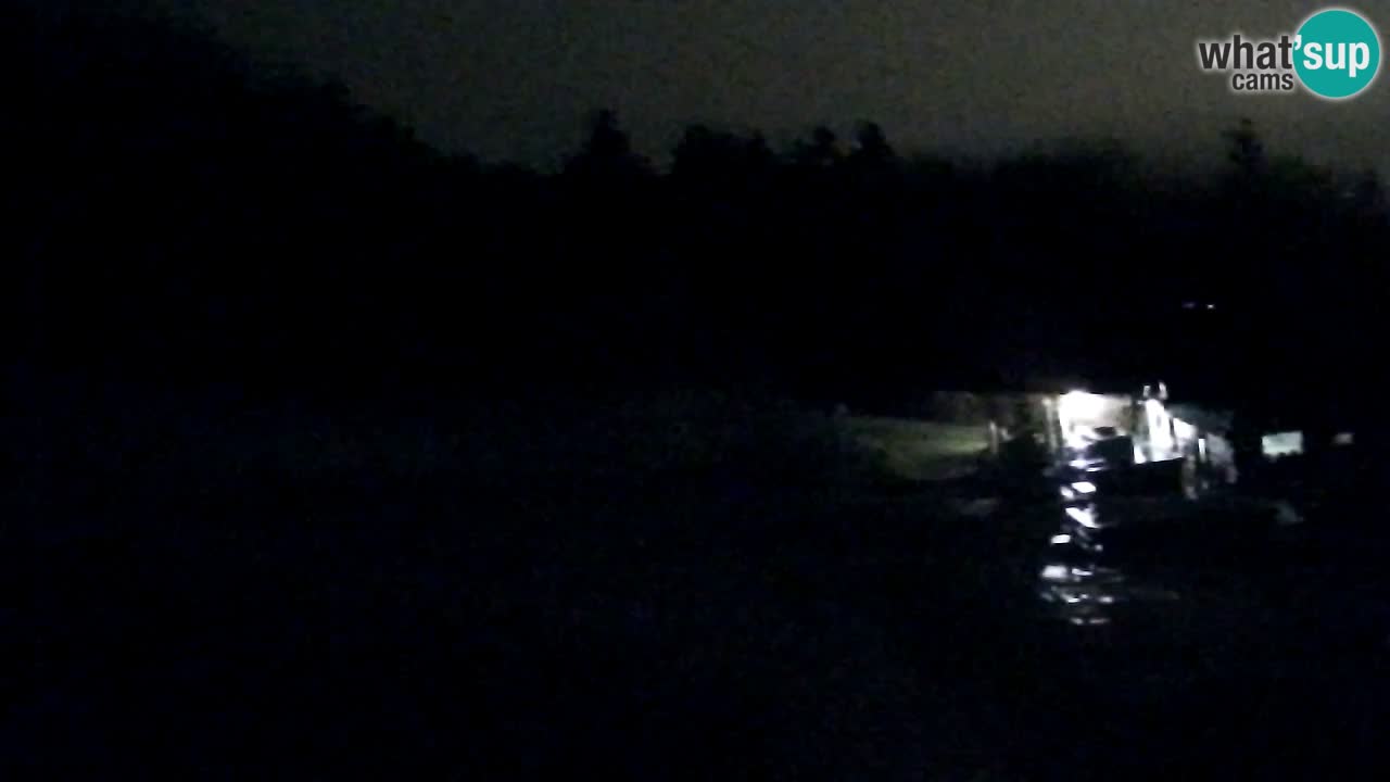 Webcam Pohorje Trikotna Jasa | Poštela