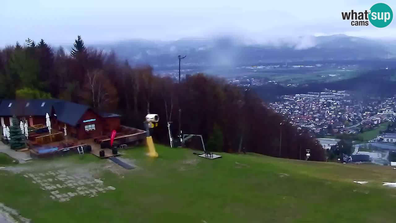 Web kamera Pohorje Trikotna Jasa | Poštela