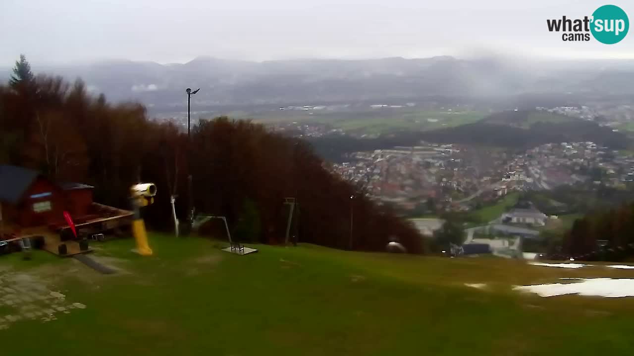 Web Camera Pohorje Trikotna Jasa | Poštela