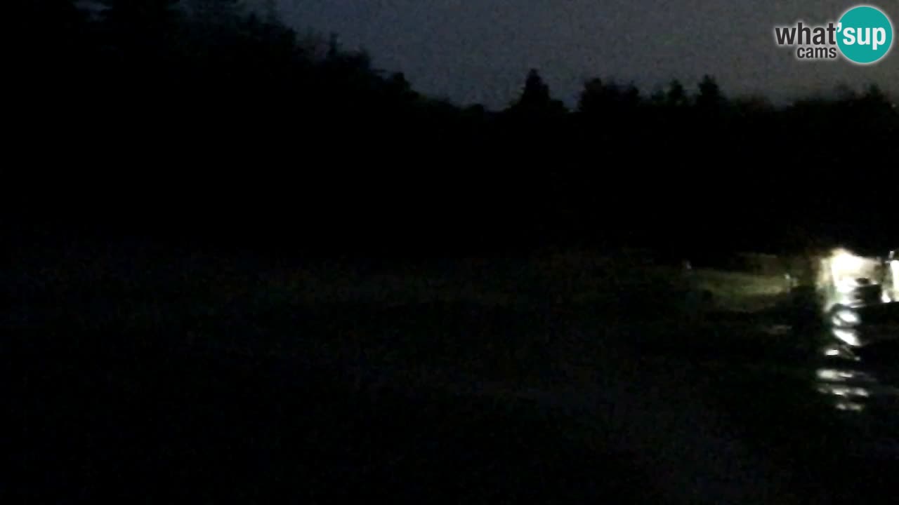 Webcam Pohorje Trikotna Jasa | Poštela