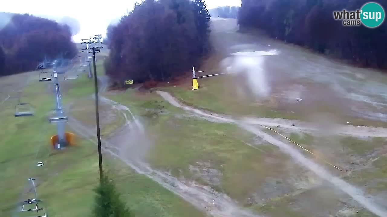 Webcam Pohorje Trikotna Jasa | Poštela