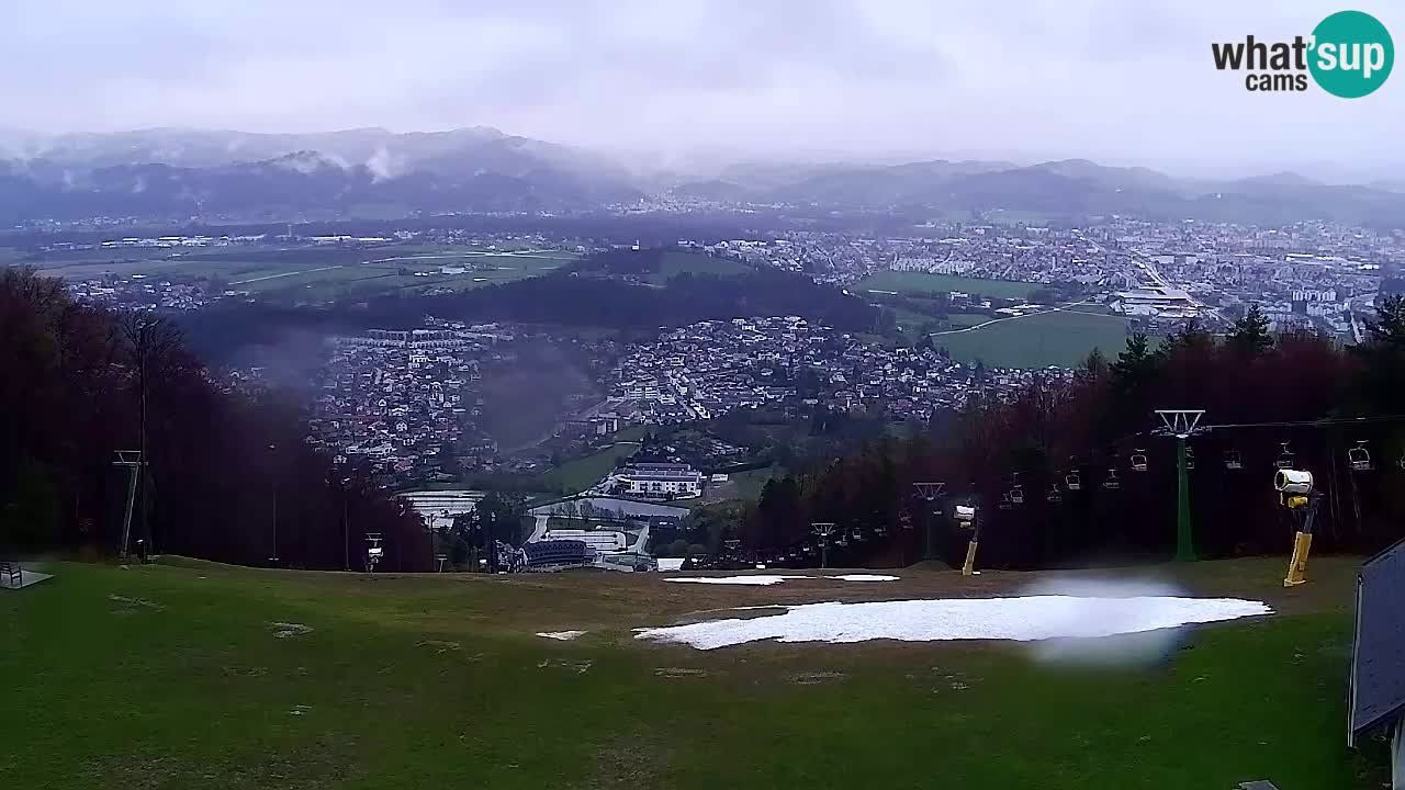 Webcam Pohorje Trikotna Jasa | Poštela