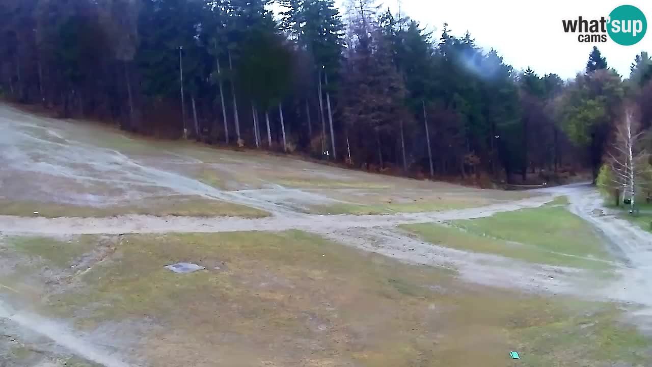 Webcam Pohorje Trikotna Jasa | Poštela