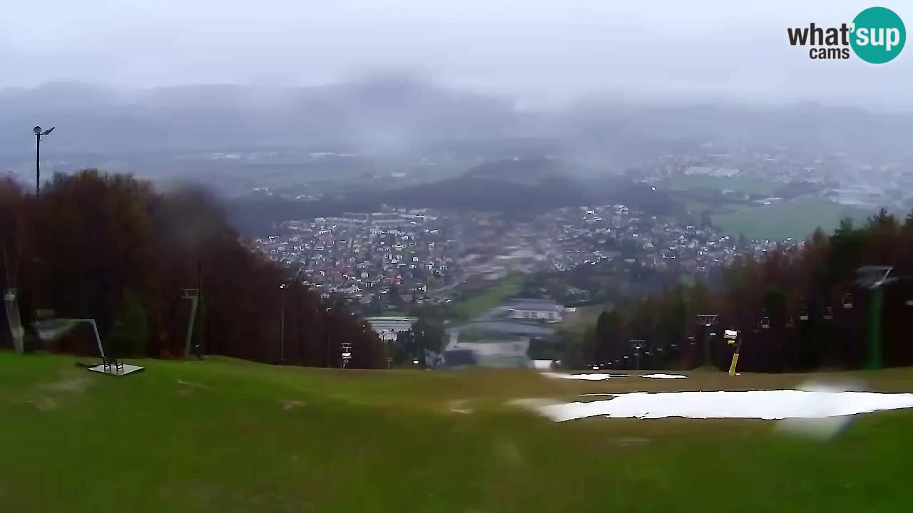 Webcam Pohorje Trikotna Jasa | Poštela