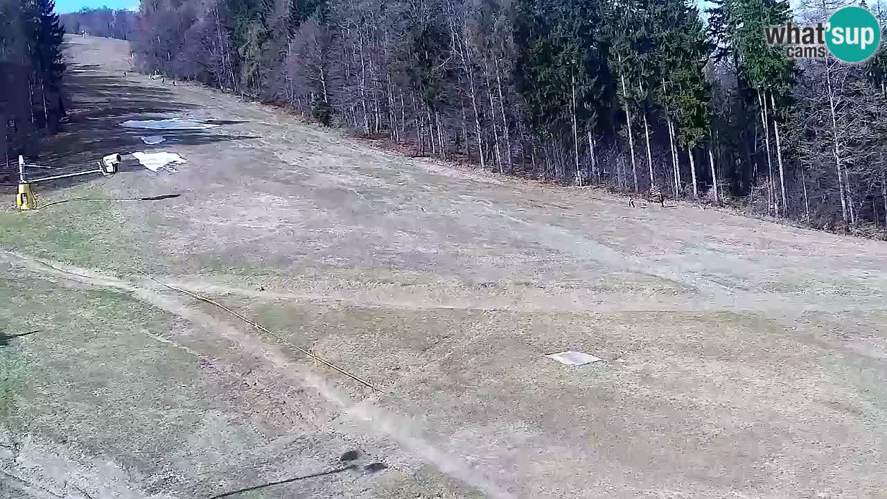 Web Camera Pohorje Trikotna Jasa | Poštela