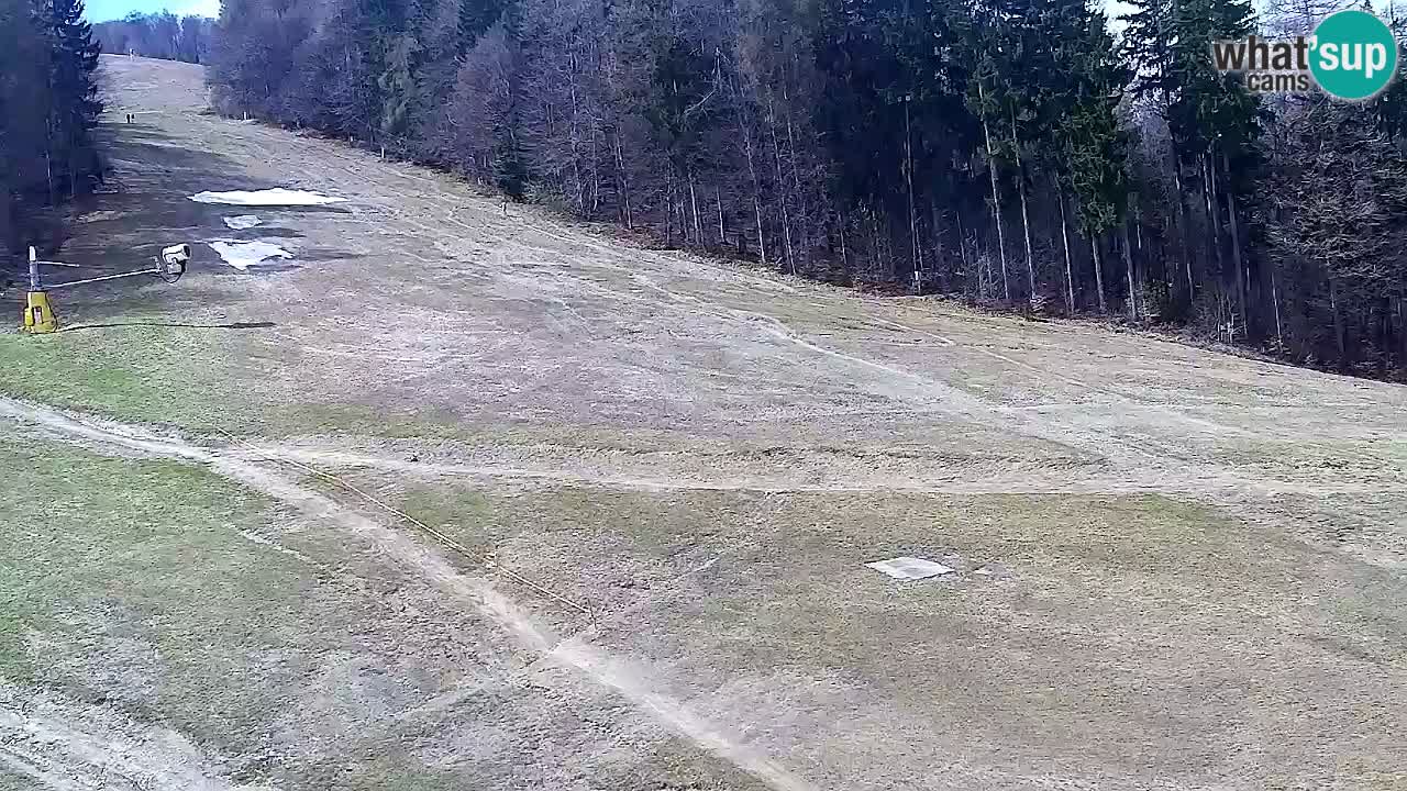 Webcam Pohorje Trikotna Jasa | Poštela