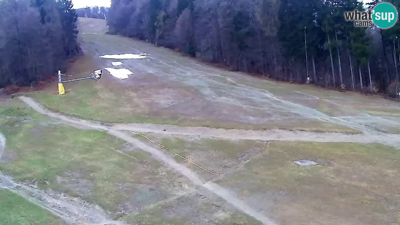 Webcam Pohorje Trikotna Jasa | Poštela