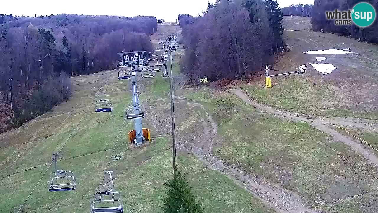 Webcam Pohorje Trikotna Jasa | Poštela