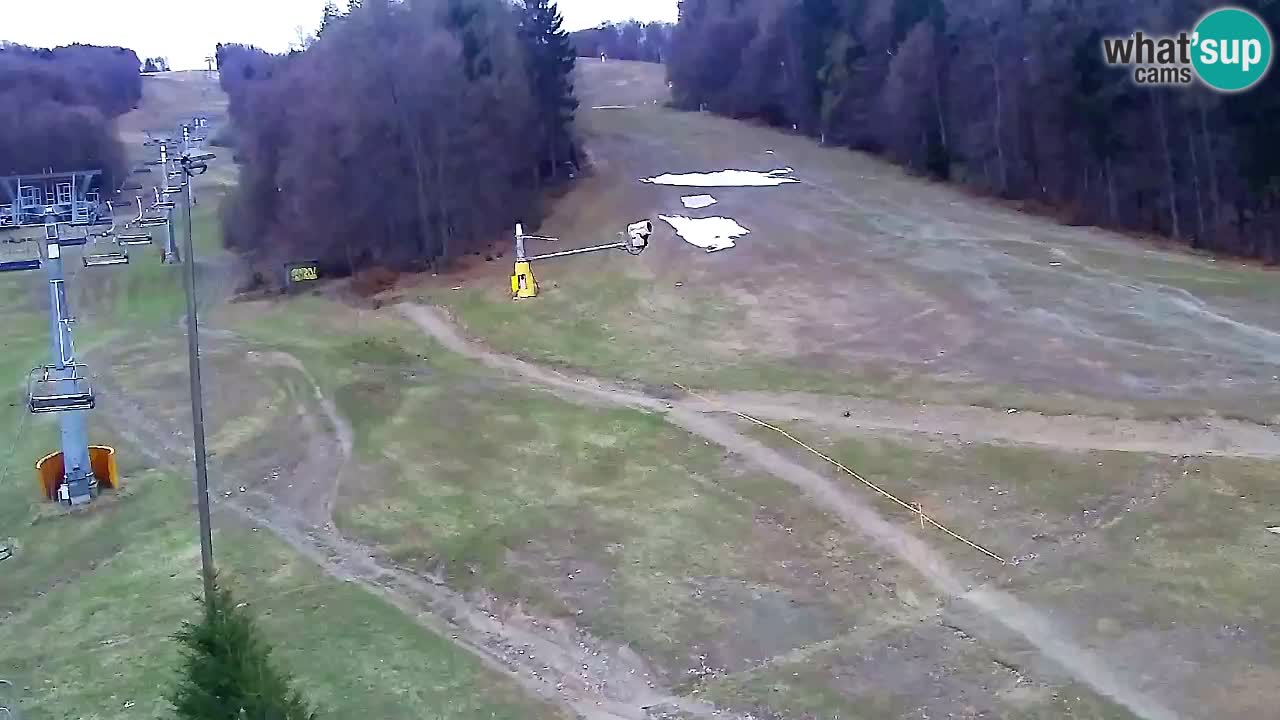 Webcam Pohorje Trikotna Jasa | Poštela