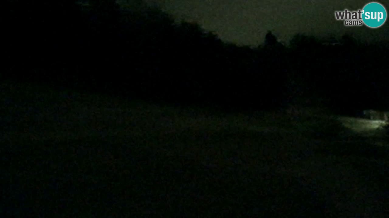 Web Camera Pohorje Trikotna Jasa | Poštela