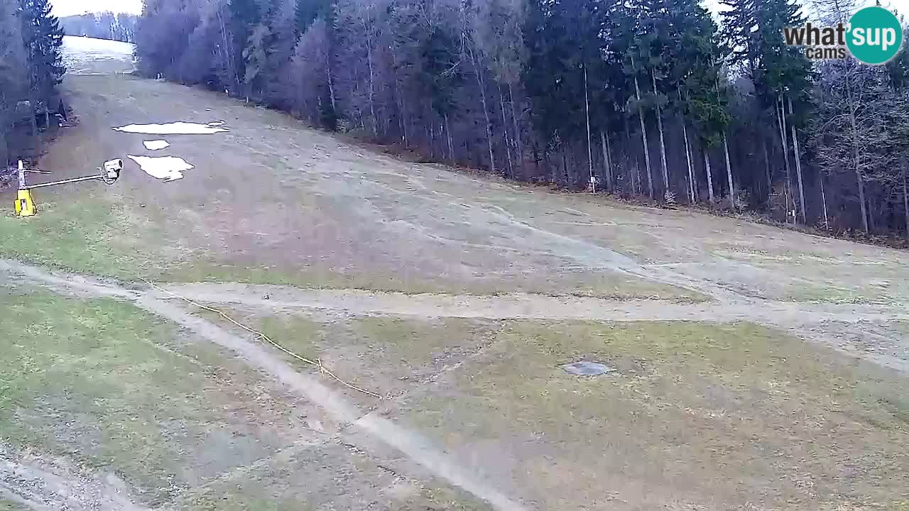 Webcam Pohorje Trikotna Jasa | Poštela