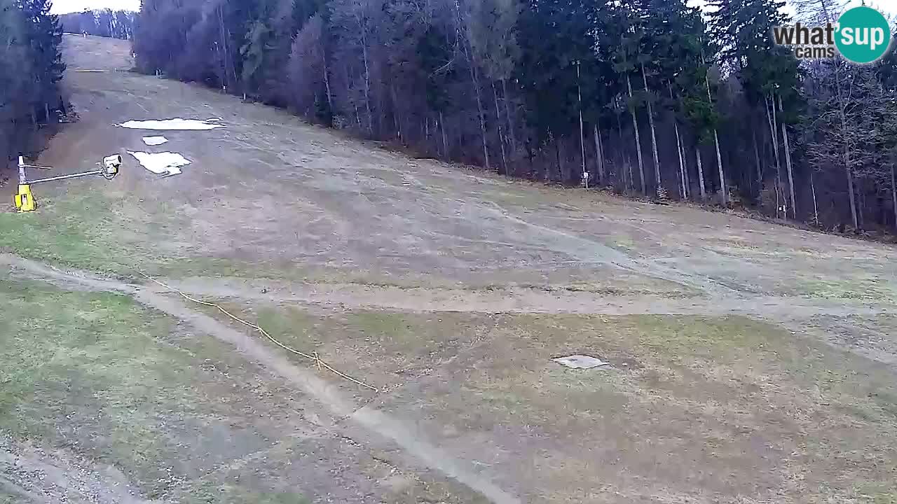 Webcam Pohorje Trikotna Jasa | Poštela