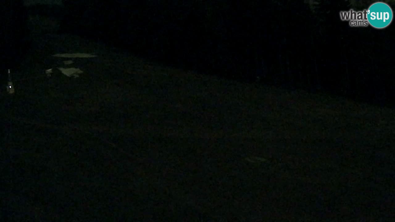 Webcam Pohorje Trikotna Jasa | Poštela