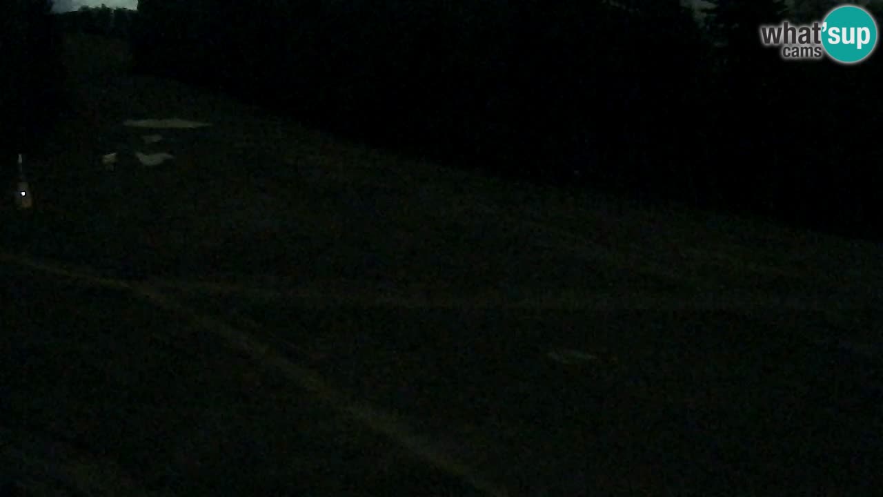 Webcam Pohorje Trikotna Jasa | Poštela