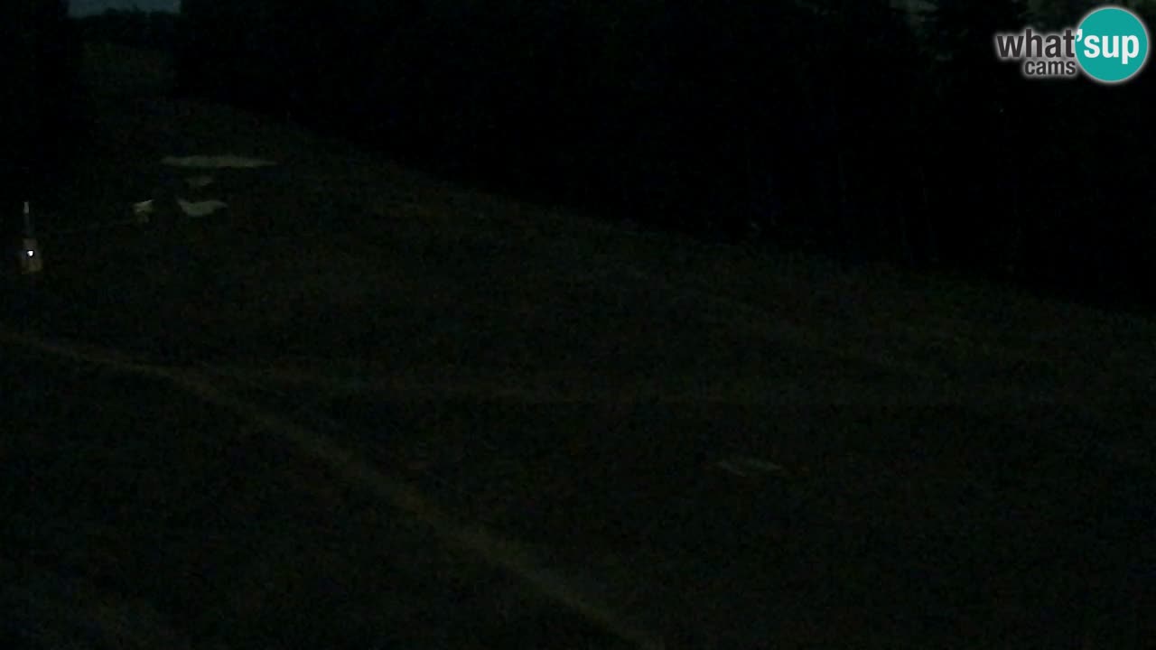 Web Camera Pohorje Trikotna Jasa | Poštela