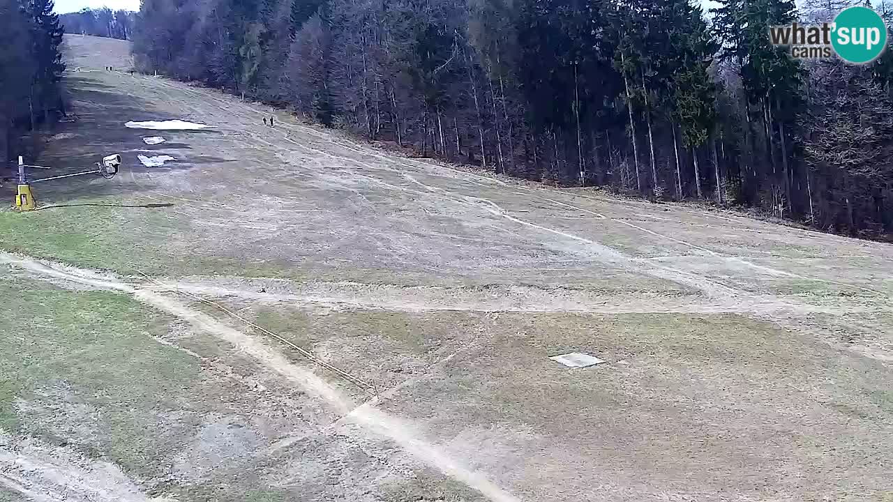 Web kamera Pohorje Trikotna Jasa | Poštela