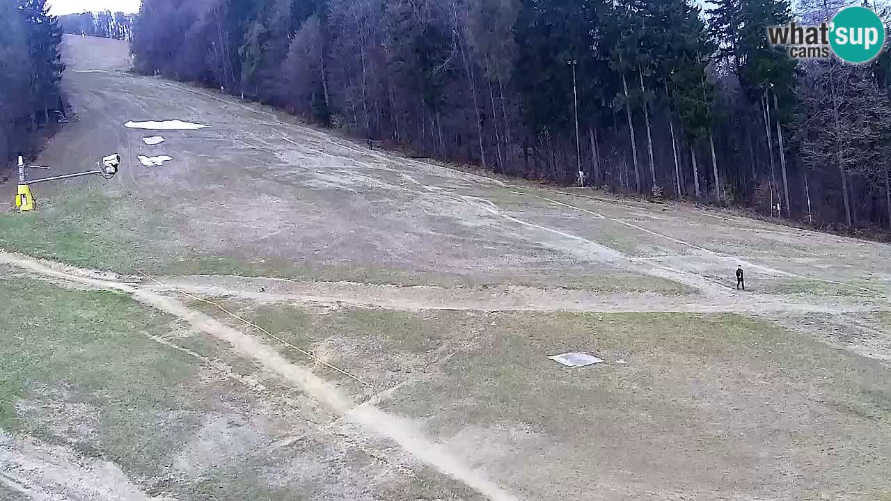 Spletna Kamera Pohorje Trikotna Jasa | Poštela