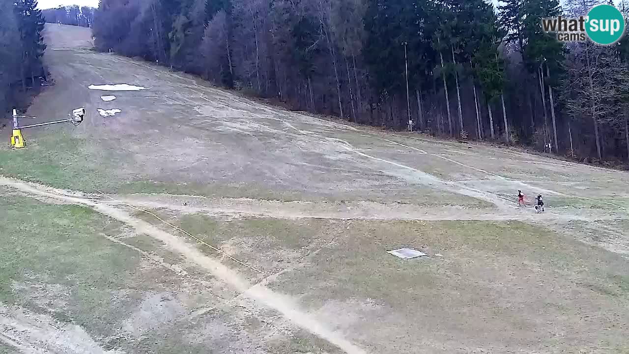 Webcam Pohorje Trikotna Jasa | Poštela