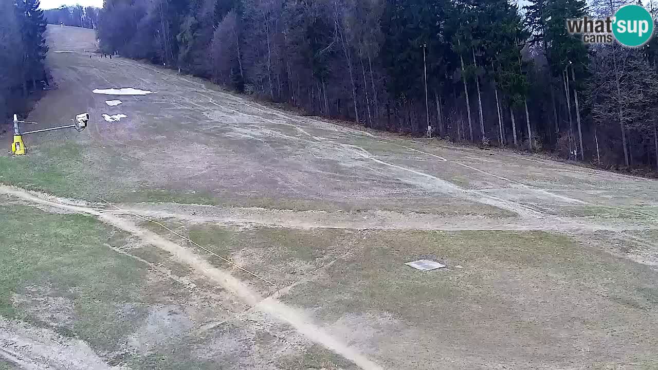 Webcam Pohorje Trikotna Jasa | Poštela