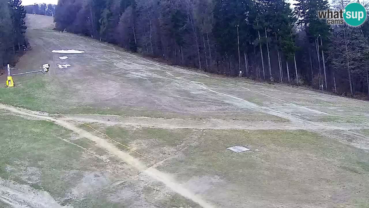Webcam Pohorje Trikotna Jasa | Poštela