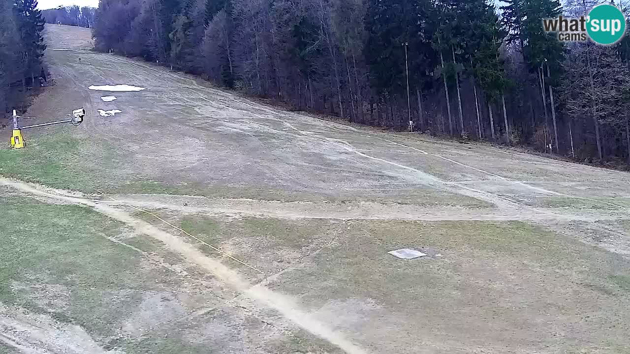 Webcam Pohorje Trikotna Jasa | Poštela