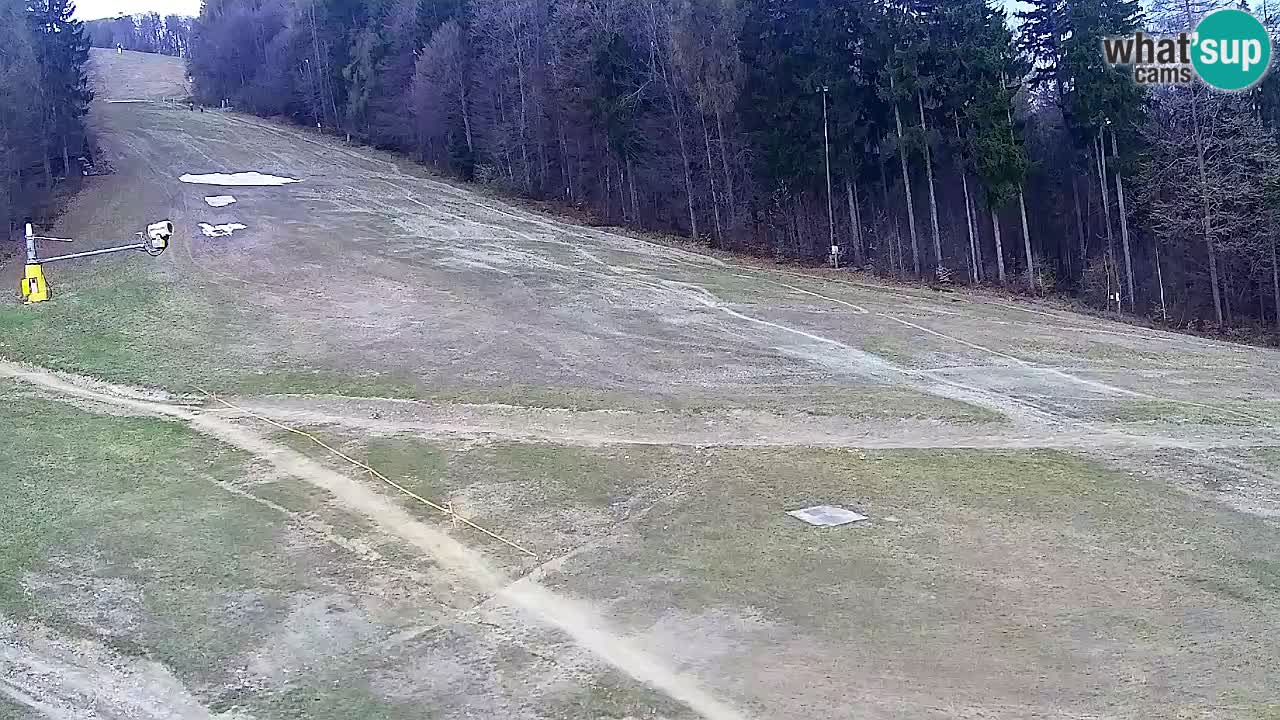 Spletna Kamera Pohorje Trikotna Jasa | Poštela