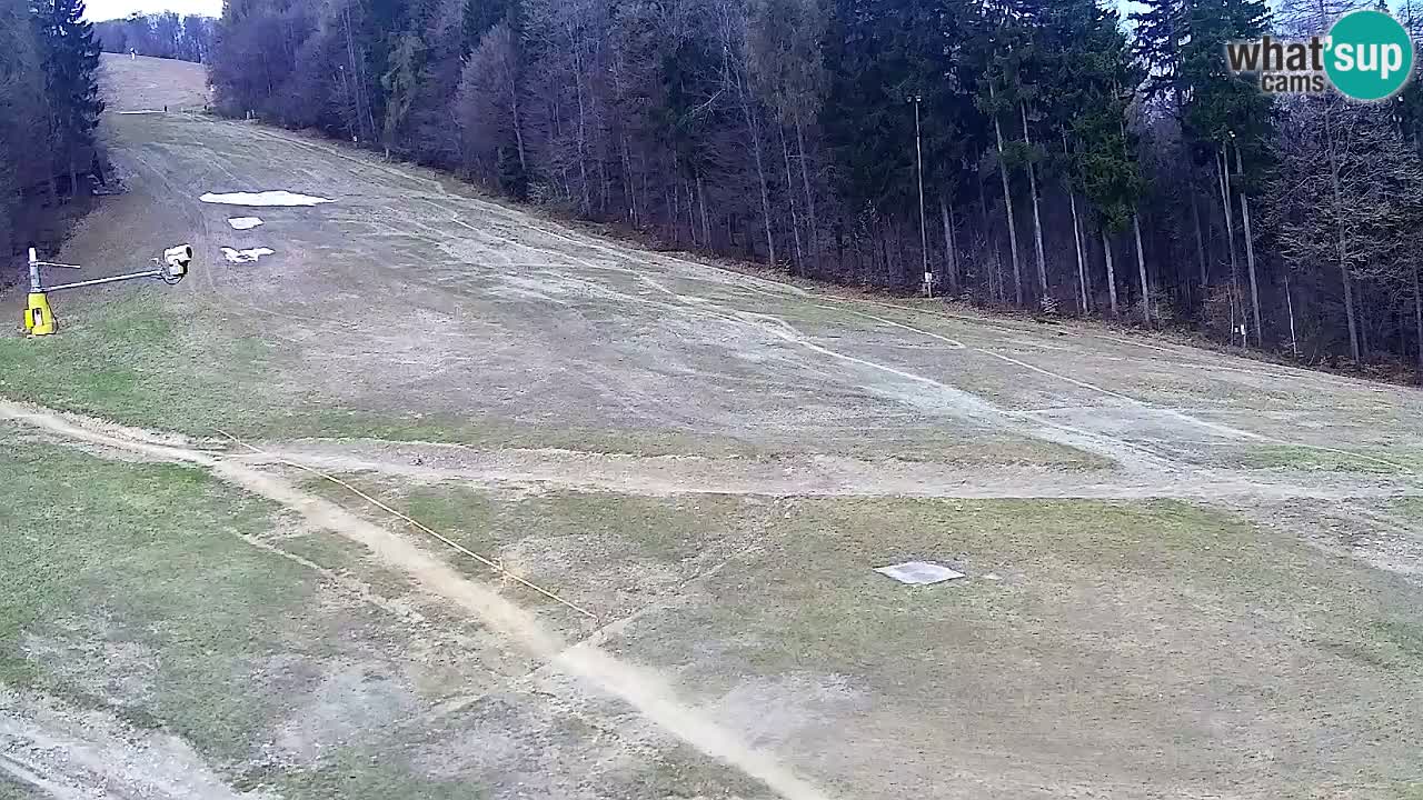 Webcam Pohorje Trikotna Jasa | Poštela