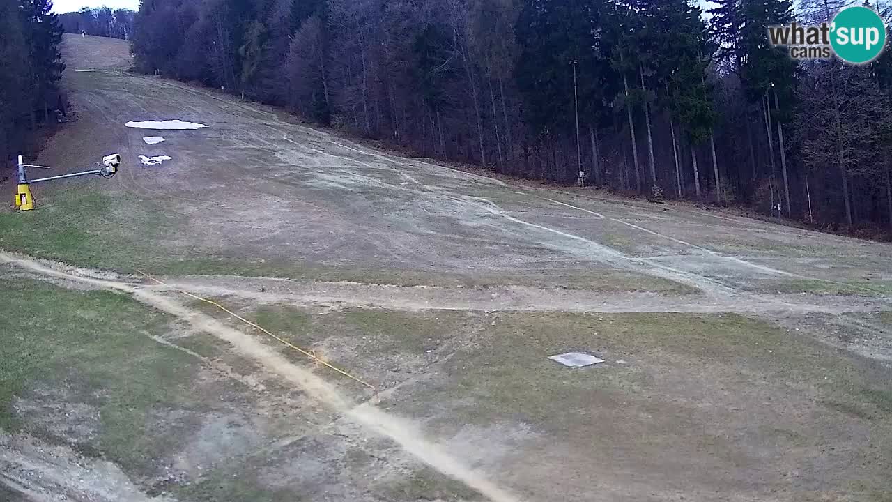 Webcam Pohorje Trikotna Jasa | Poštela