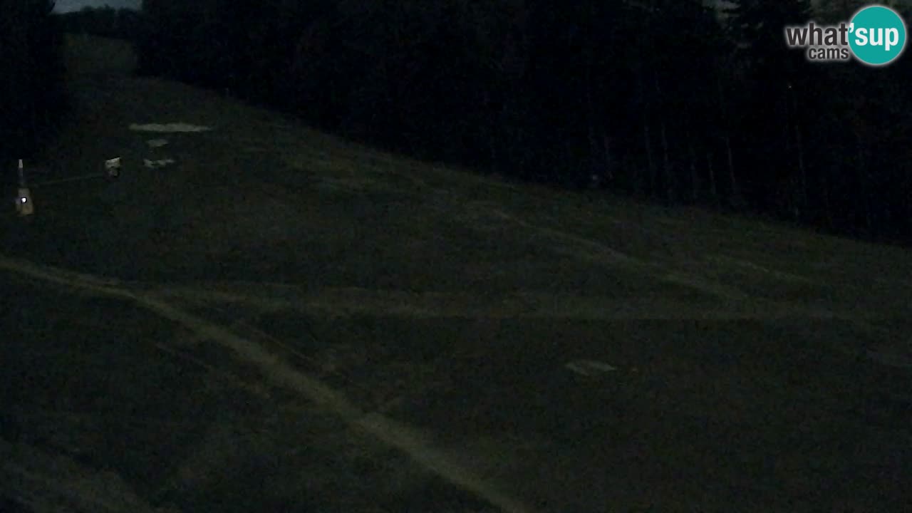 Webcam Pohorje Trikotna Jasa | Poštela